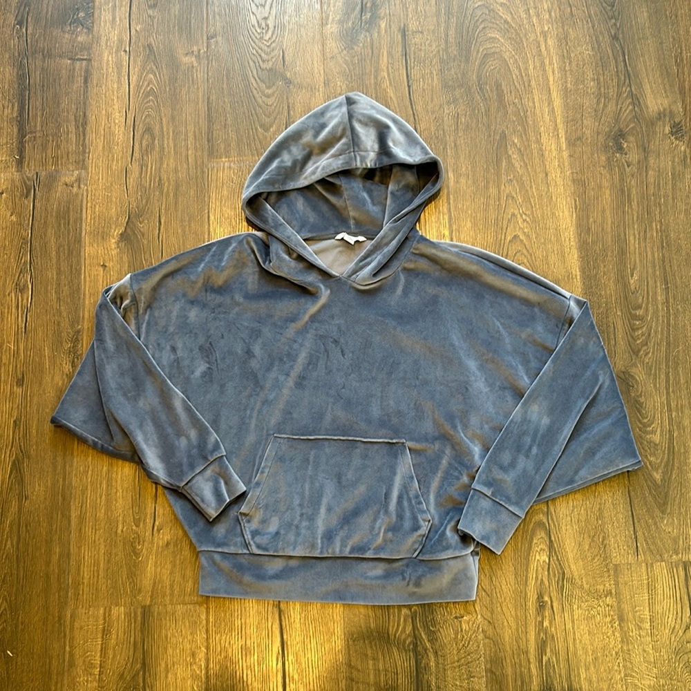 American Eagle Cropped Hoodie